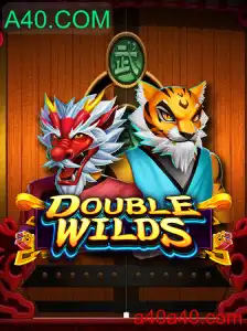 DoubleWilds: Descubra a Excitante Experiência de Jogo com A40.COM